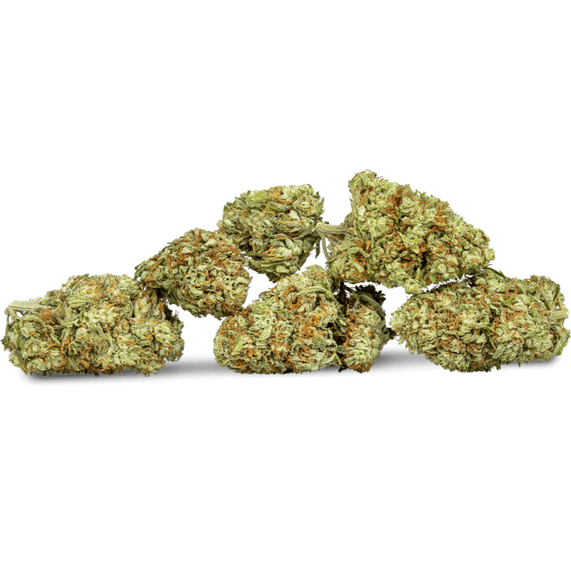 Cannabis and Minors- What to do if your child gets their hands on cannabis?