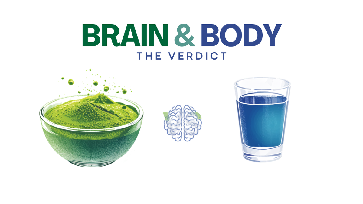 Matcha bowl and indigo-to-violet mushroom coffee with brain and body outlines — which is better for your brain and body