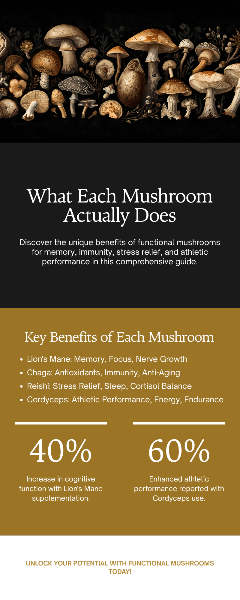 Lion's Mane, Chaga, Reishi, Cordyceps Mushroom Benefits Chart - MoodWell