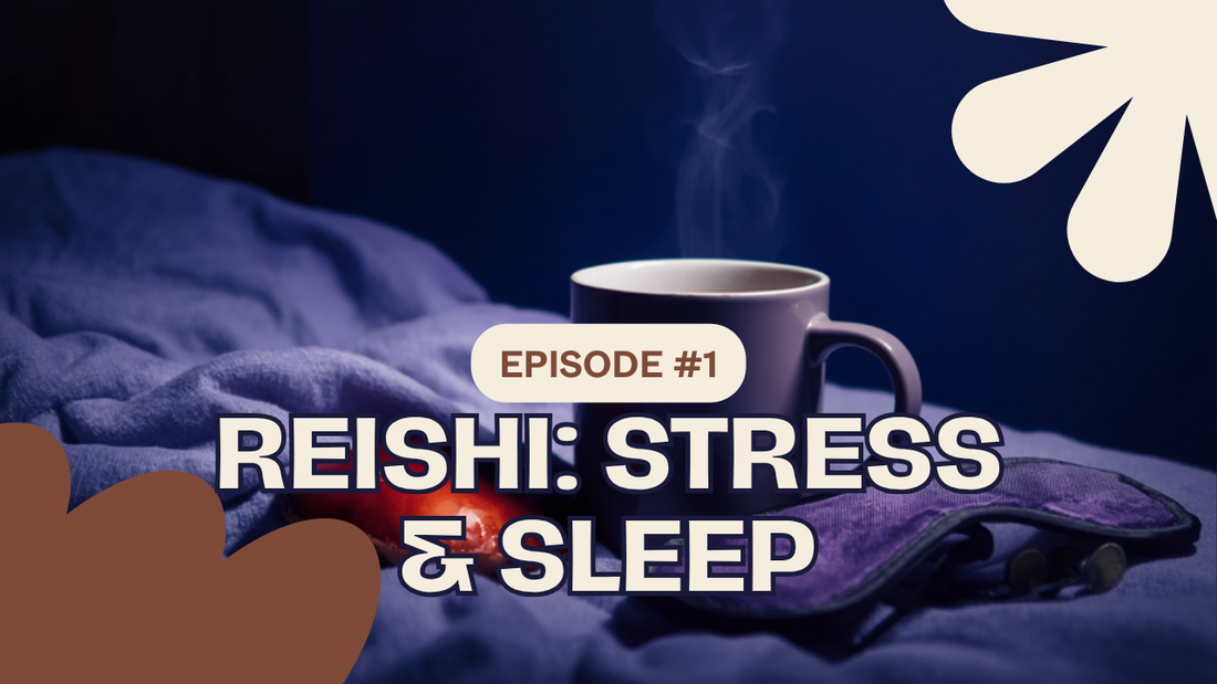 Reishi mushroom beside a lavender coffee on a nightstand at dusk — reishi for stress and sleep