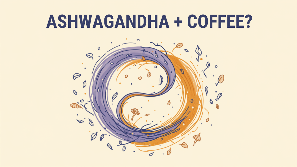 Ashwagandha powder swirling into a lavender coffee — can you take ashwagandha and coffee together
