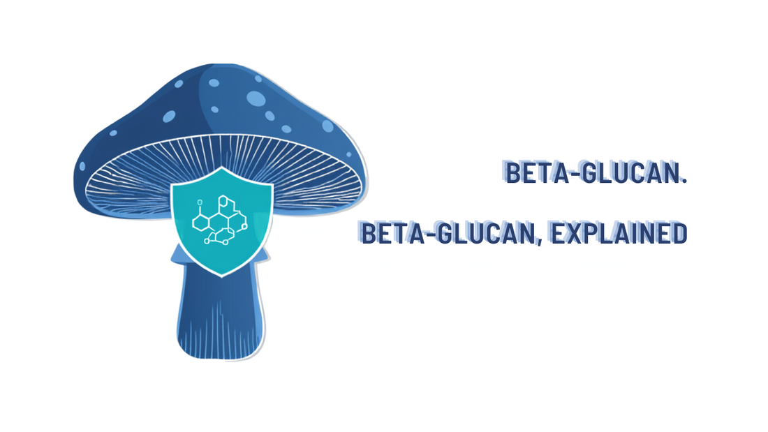 Mushroom cross-section with glowing beta-glucan chains and shield — what is beta-glucan