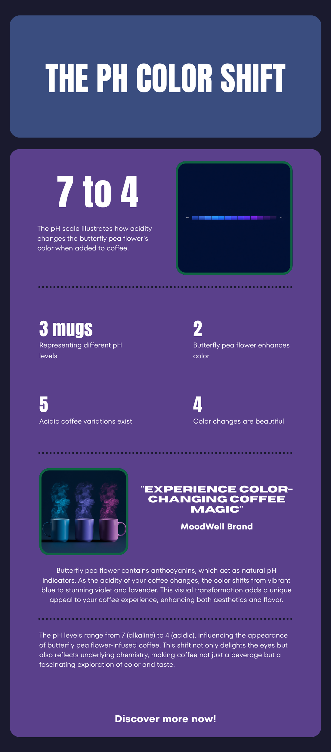 Mushroom Coffee vs Regular Coffee — Health Benefits, Energy Quality, and Taste Comparison