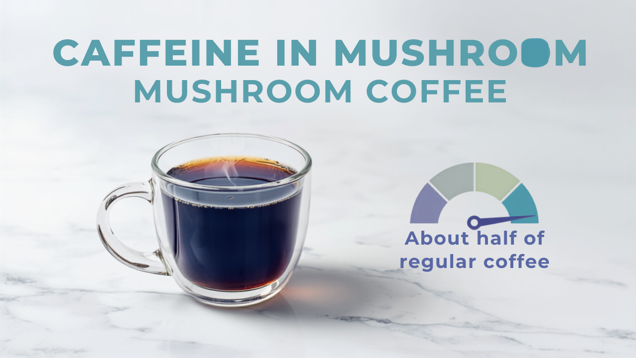 Glass mug of indigo mushroom coffee next to a caffeine meter showing about half the caffeine of regular coffee