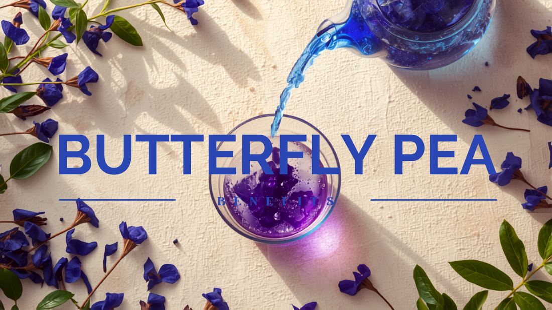 Blue butterfly pea tea pouring into a cup shifting violet with dried flowers — butterfly pea flower benefits