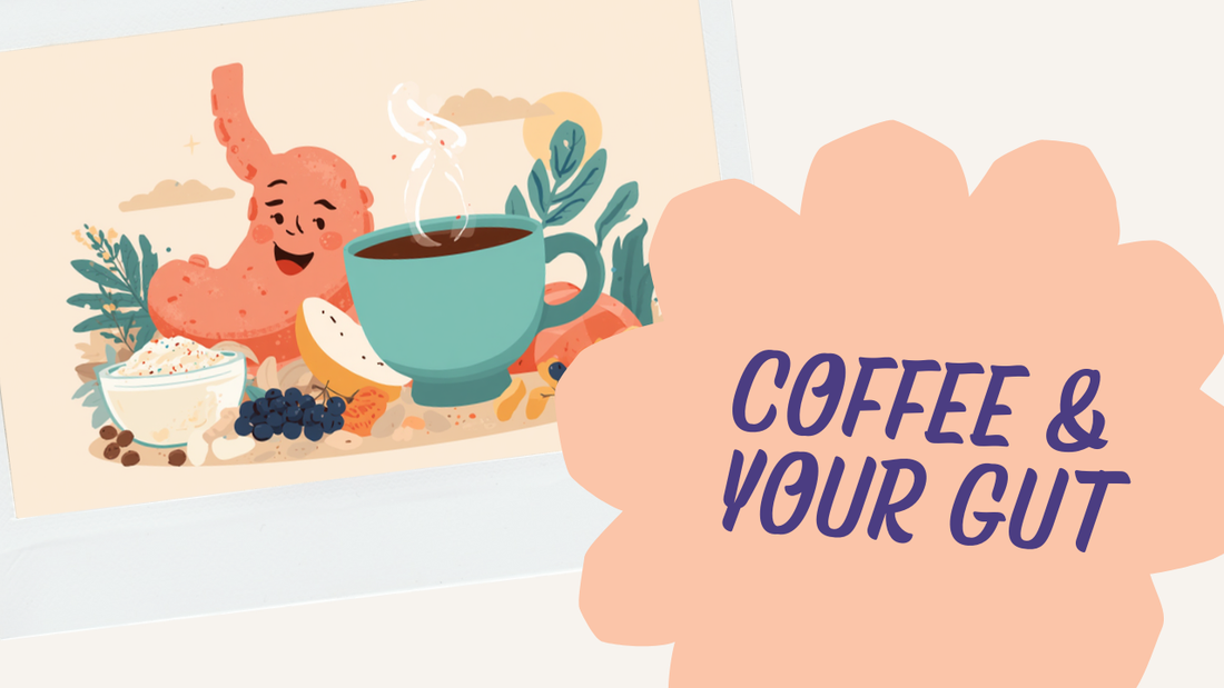 Happy stomach illustration with a gentle teal coffee and gut-friendly foods — gut health and coffee