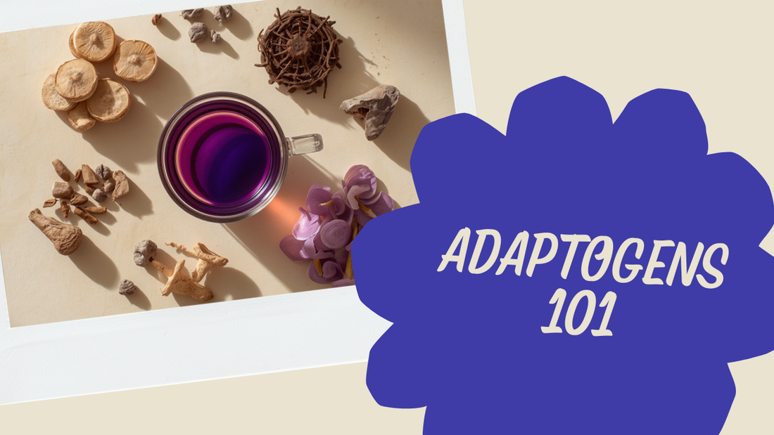 Flat-lay of reishi, ashwagandha, lion's mane and butterfly pea flowers around a lavender coffee — adaptogens beginner's guide