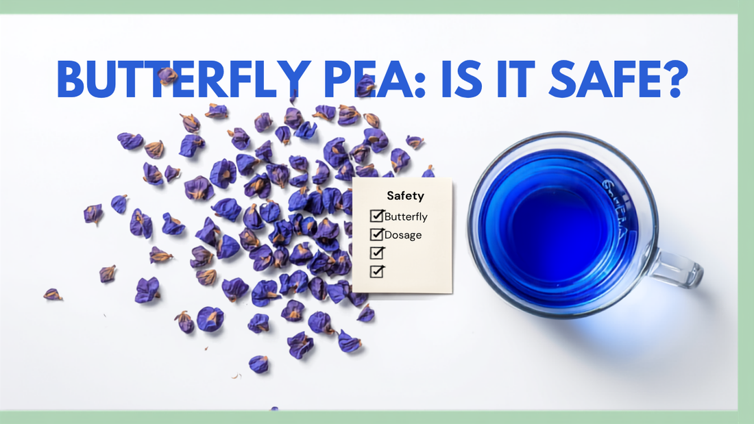 Dried butterfly pea flowers with a safety checklist and blue tea — is butterfly pea flower safe