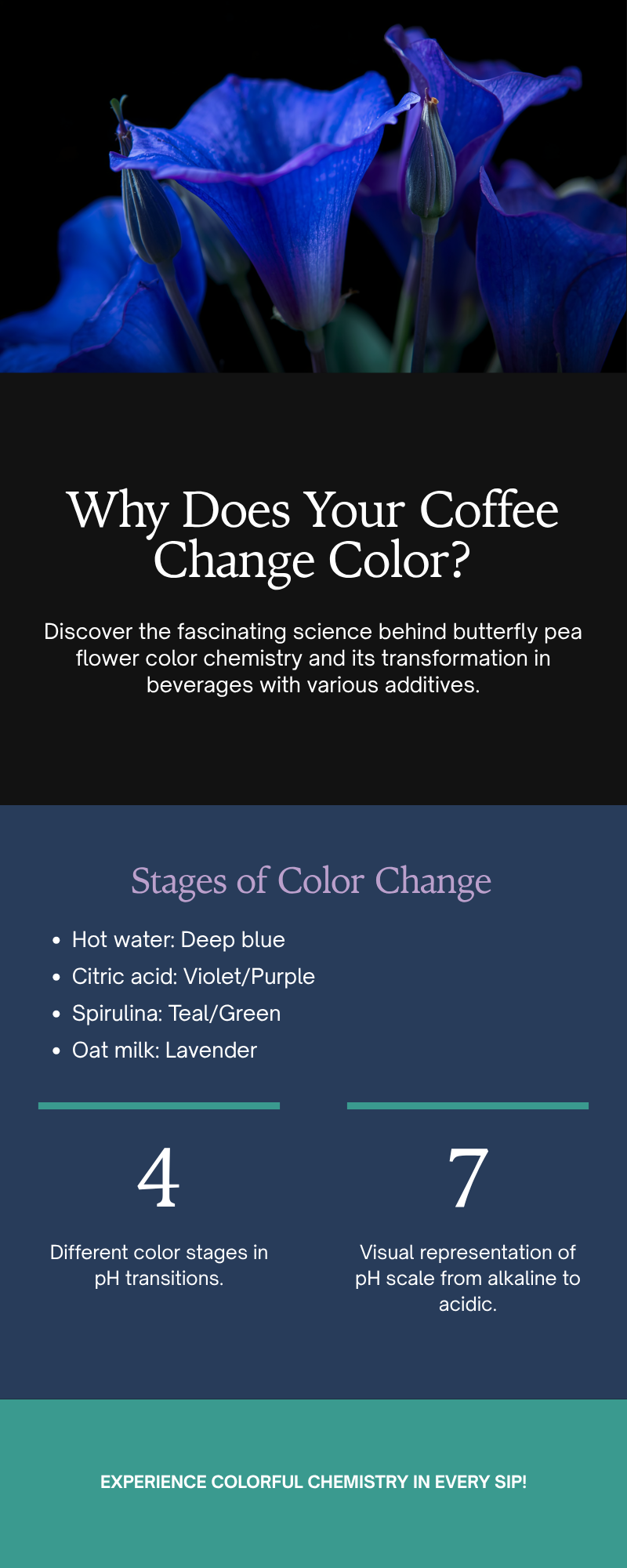 Why Does Your Coffee Change Color? Butterfly Pea Flower Chemistry - MoodWell
