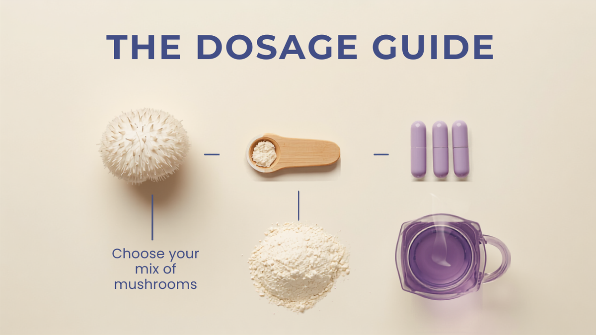 Lion's mane with scoop, capsules, powder, and violet coffee — lion's mane dosage guide