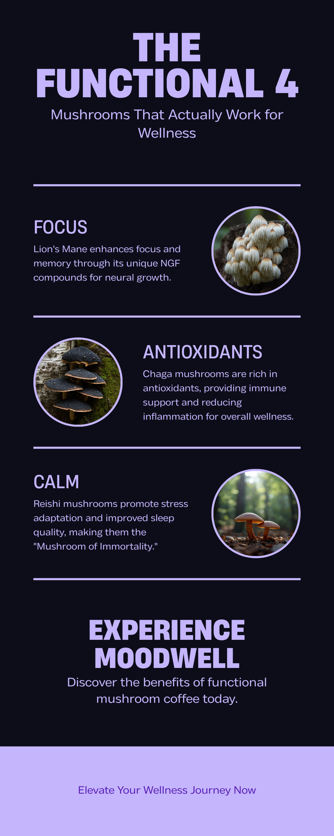 The Functional 4: Mushroom Coffee Benefits Comparison — Lion’s Mane, Chaga, Reishi, Cordyceps