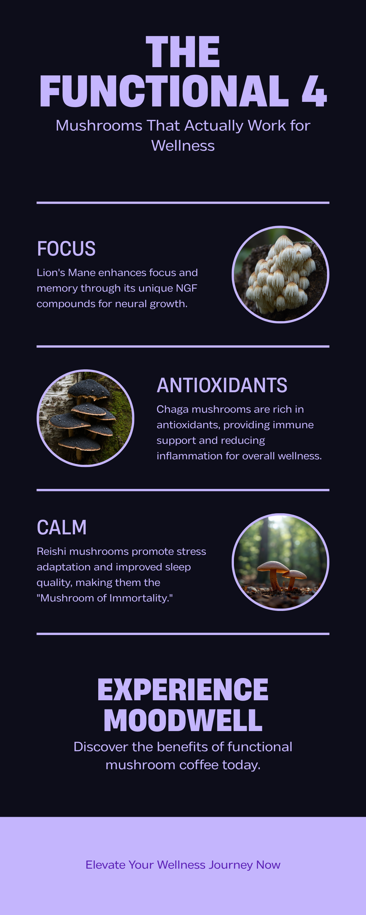 The Functional 4: Mushroom Coffee Benefits Comparison — Lion’s Mane, Chaga, Reishi, Cordyceps