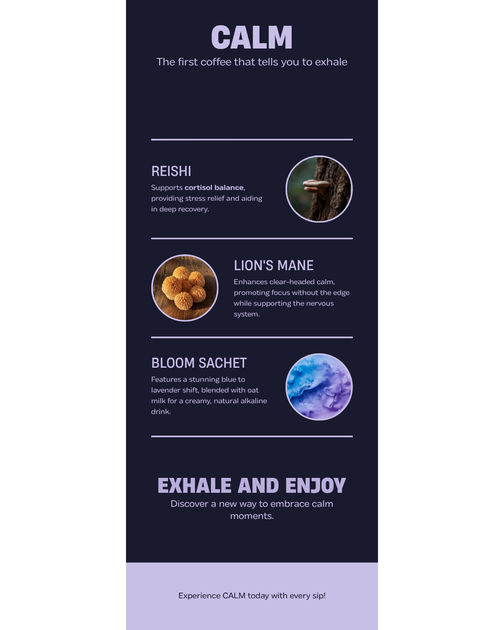 CALM Ingredients — Reishi + Ashwagandha + Butterfly Pea Flower benefits infographic