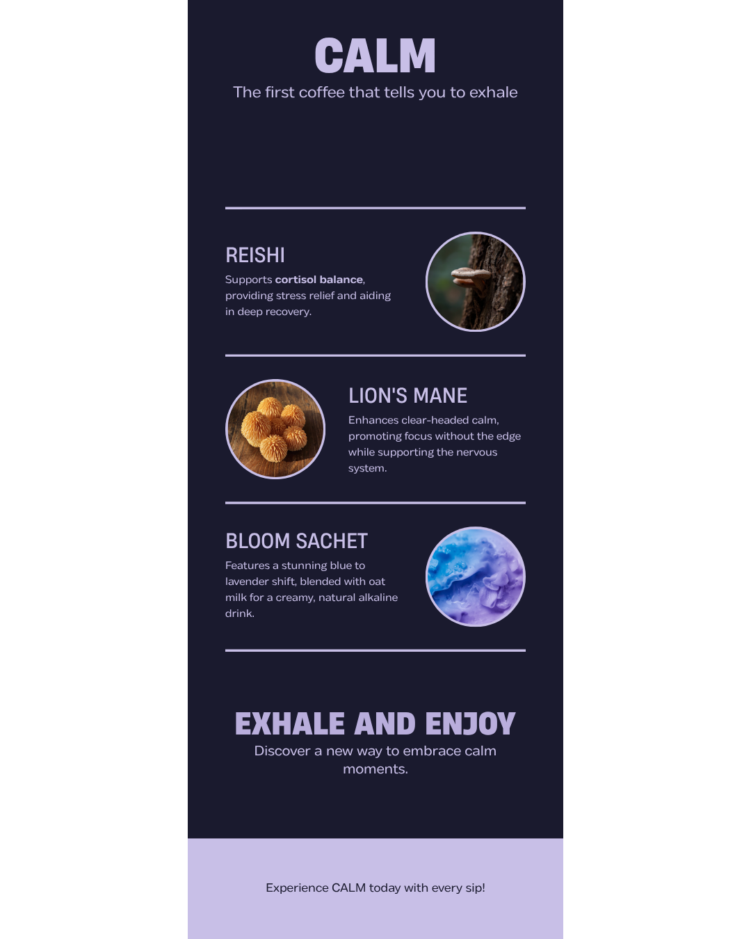 CALM Ingredients — Reishi + Ashwagandha + Butterfly Pea Flower benefits infographic