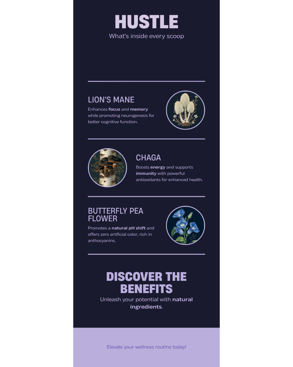 HUSTLE Ingredients — Lion's Mane + Chaga + Butterfly Pea Flower benefits infographic