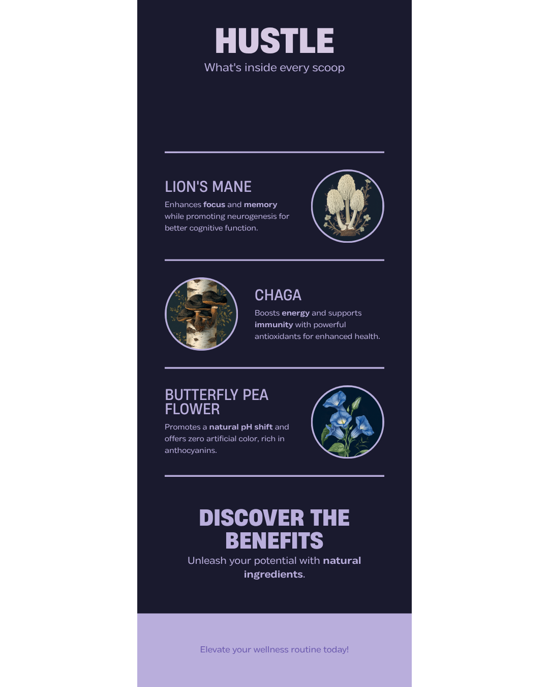 HUSTLE Ingredients — Lion's Mane + Chaga + Butterfly Pea Flower benefits infographic