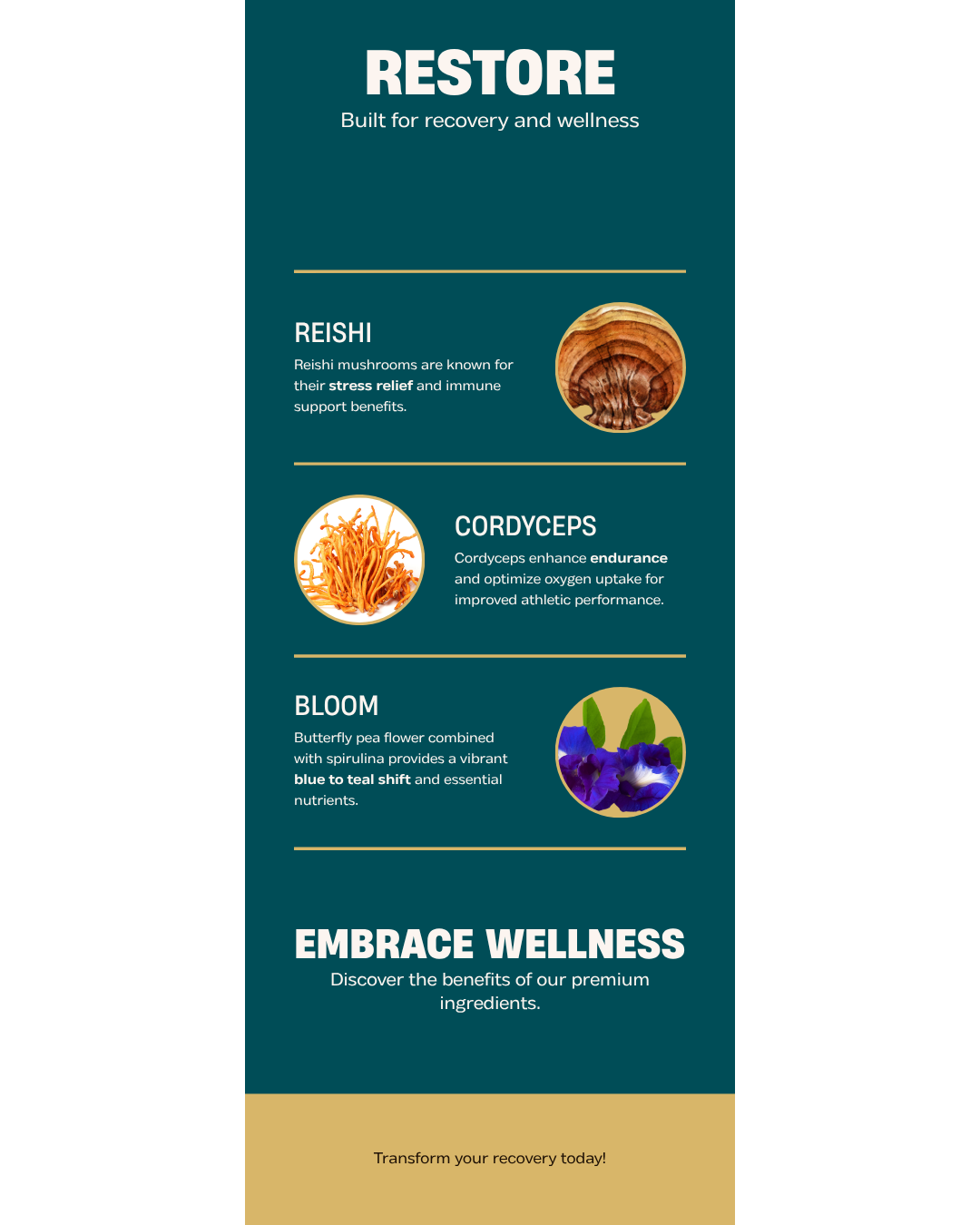 RESTORE Ingredients — Reishi + Cordyceps + Spirulina benefits infographic